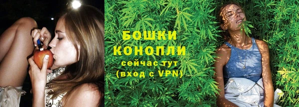 jwh Карпинск