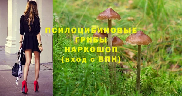 таблы Карталы