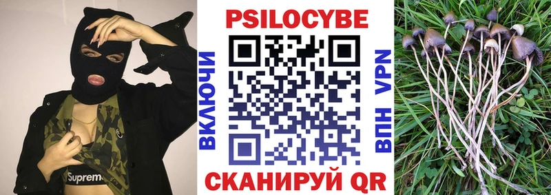 Псилоцибиновые грибы Psilocybine cubensis  Купить закладки  Дальнереченск 