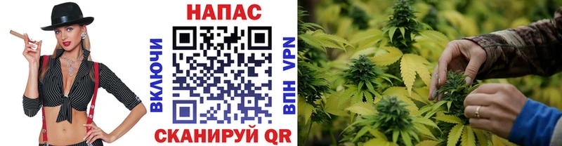 Купить где  Дальнереченск  Бошки Шишки Bruce Banner 